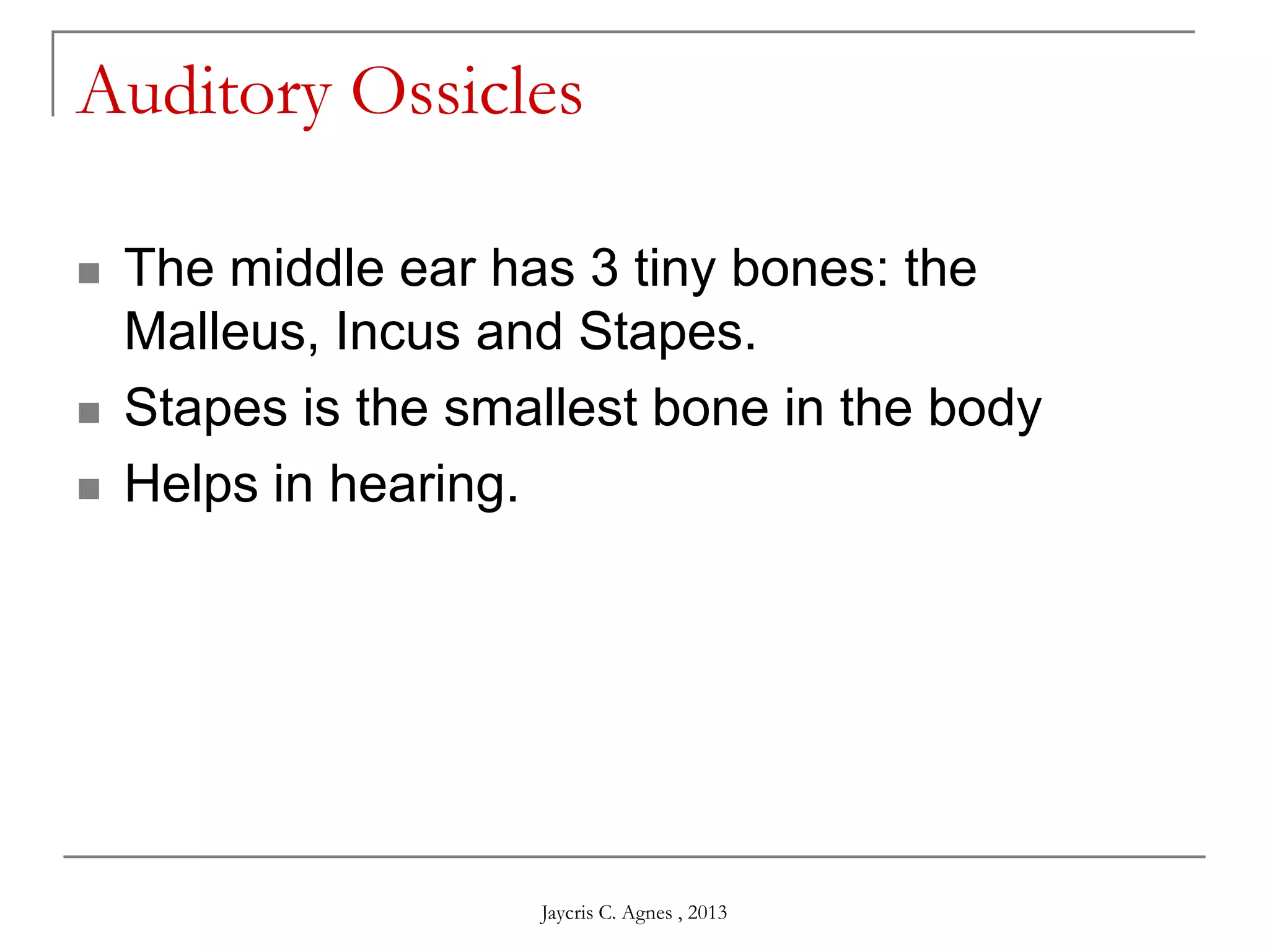 Auditory Ossicles
 The middle ear has 3 tiny bones: the
Malleus, Incus and Stapes.
 Stapes is the smallest bone in the body
 Helps in hearing.
Jaycris C. Agnes , 2013
 