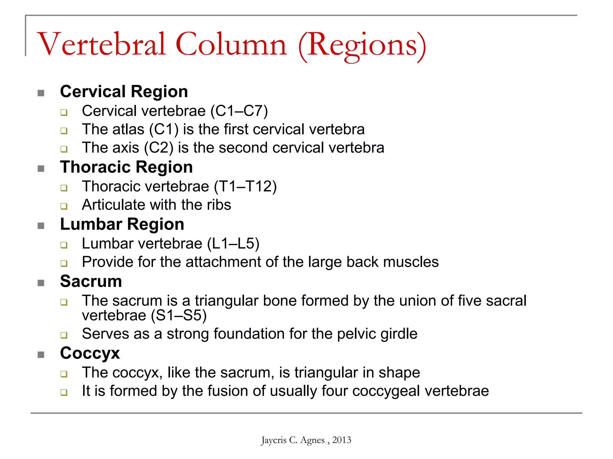 Vertebral Column (Regions)
 Cervical Region
 Cervical vertebrae (C1–C7)
 The atlas (C1) is the first cervical vertebra
 The axis (C2) is the second cervical vertebra
 Thoracic Region
 Thoracic vertebrae (T1–T12)
 Articulate with the ribs
 Lumbar Region
 Lumbar vertebrae (L1–L5)
 Provide for the attachment of the large back muscles
 Sacrum
 The sacrum is a triangular bone formed by the union of five sacral
vertebrae (S1–S5)
 Serves as a strong foundation for the pelvic girdle
 Coccyx
 The coccyx, like the sacrum, is triangular in shape
 It is formed by the fusion of usually four coccygeal vertebrae
Jaycris C. Agnes , 2013
 