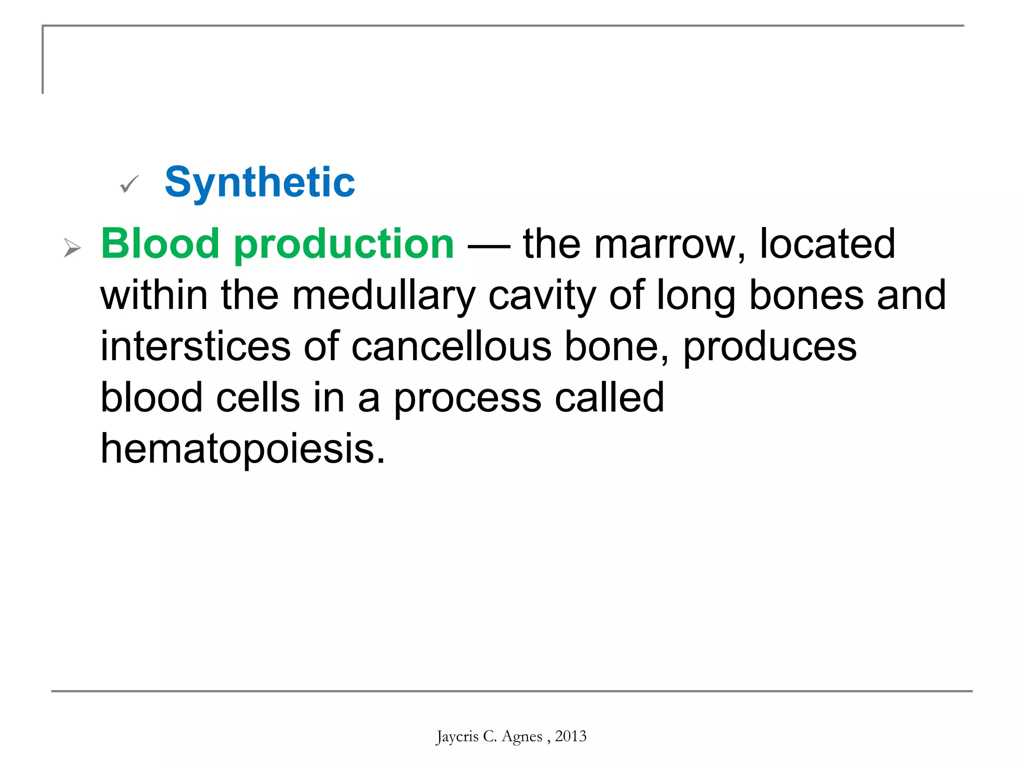  Synthetic
 Blood production — the marrow, located
within the medullary cavity of long bones and
interstices of cancellous bone, produces
blood cells in a process called
hematopoiesis.
Jaycris C. Agnes , 2013
 