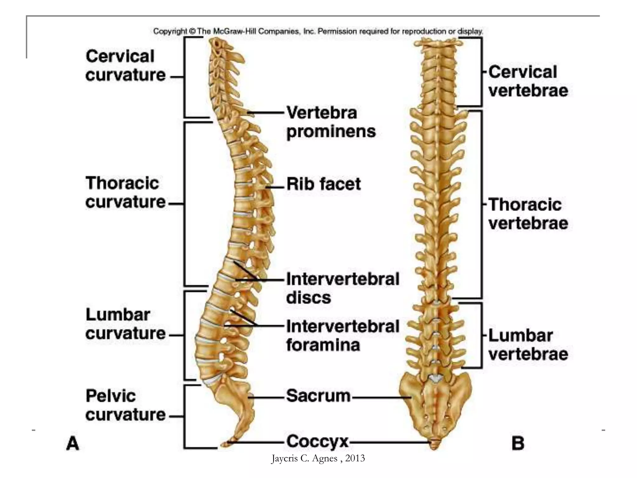 Jaycris C. Agnes , 2013
 