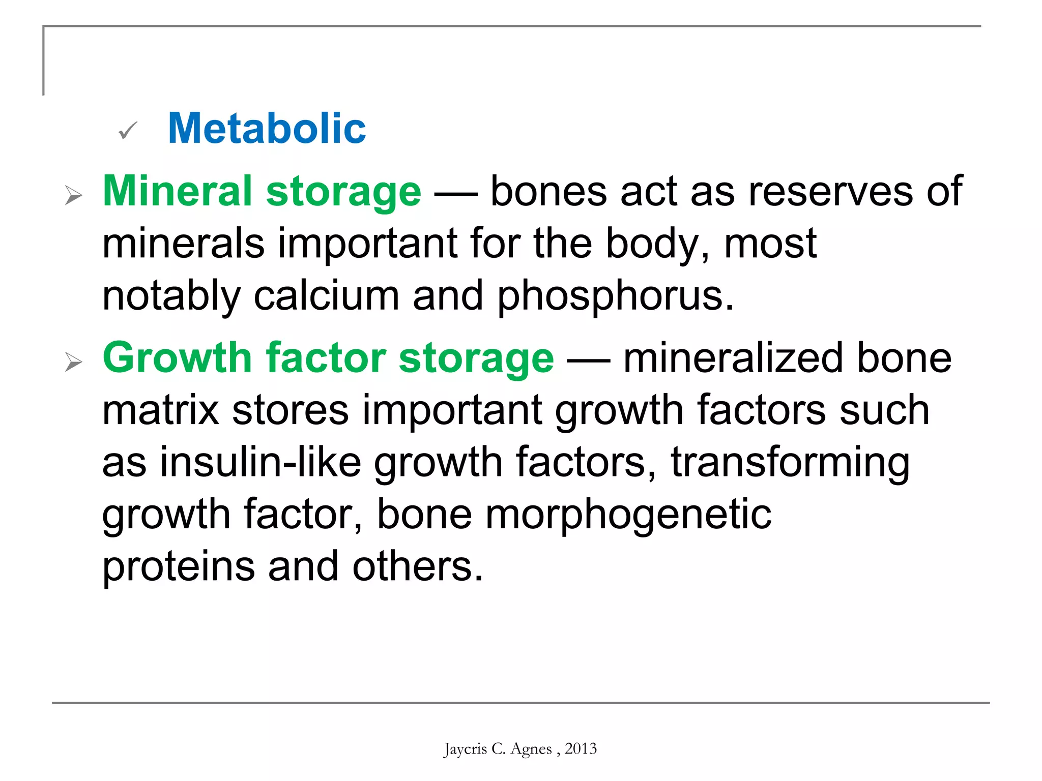  Metabolic
 Mineral storage — bones act as reserves of
minerals important for the body, most
notably calcium and phosphorus.
 Growth factor storage — mineralized bone
matrix stores important growth factors such
as insulin-like growth factors, transforming
growth factor, bone morphogenetic
proteins and others.
Jaycris C. Agnes , 2013
 