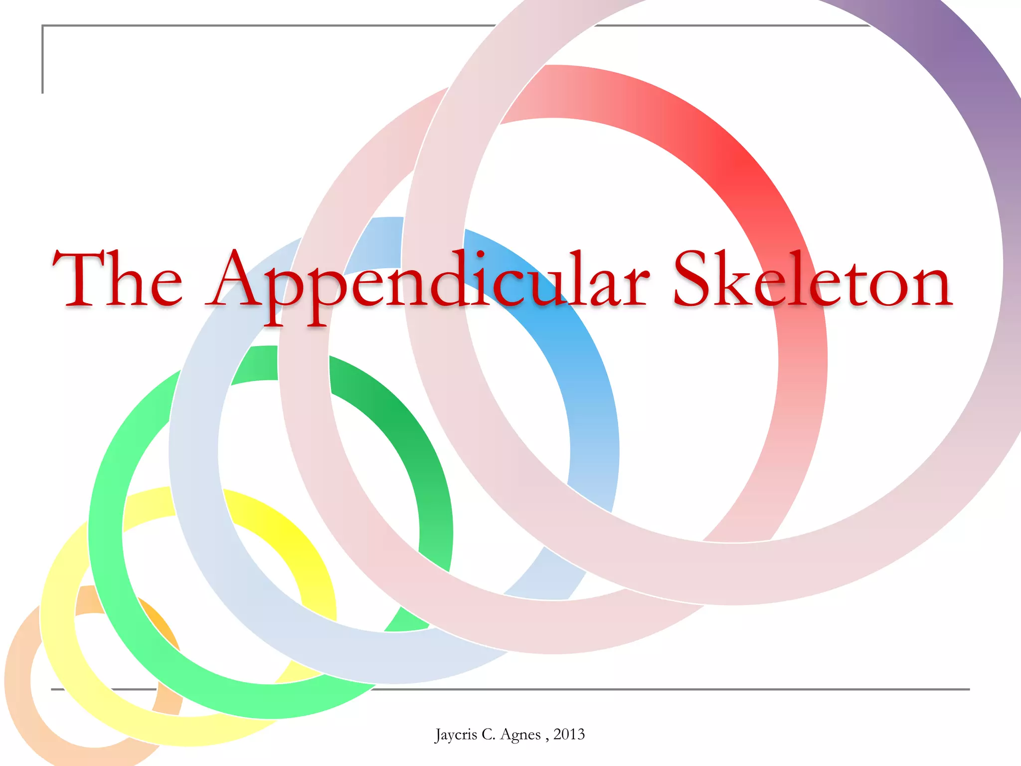 The Appendicular Skeleton
Jaycris C. Agnes , 2013
 
