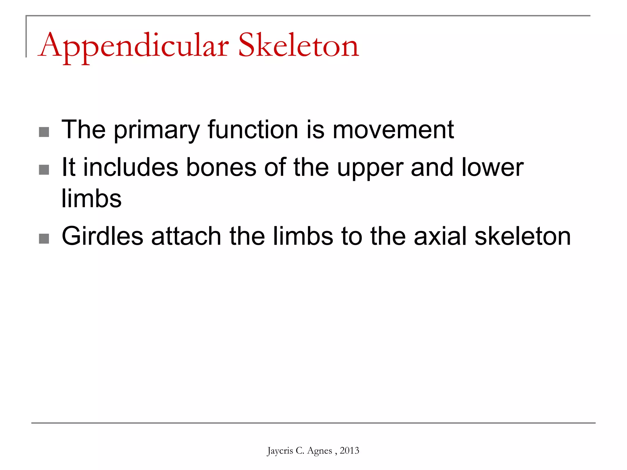 Appendicular Skeleton
 The primary function is movement
 It includes bones of the upper and lower
limbs
 Girdles attach the limbs to the axial skeleton
Jaycris C. Agnes , 2013
 
