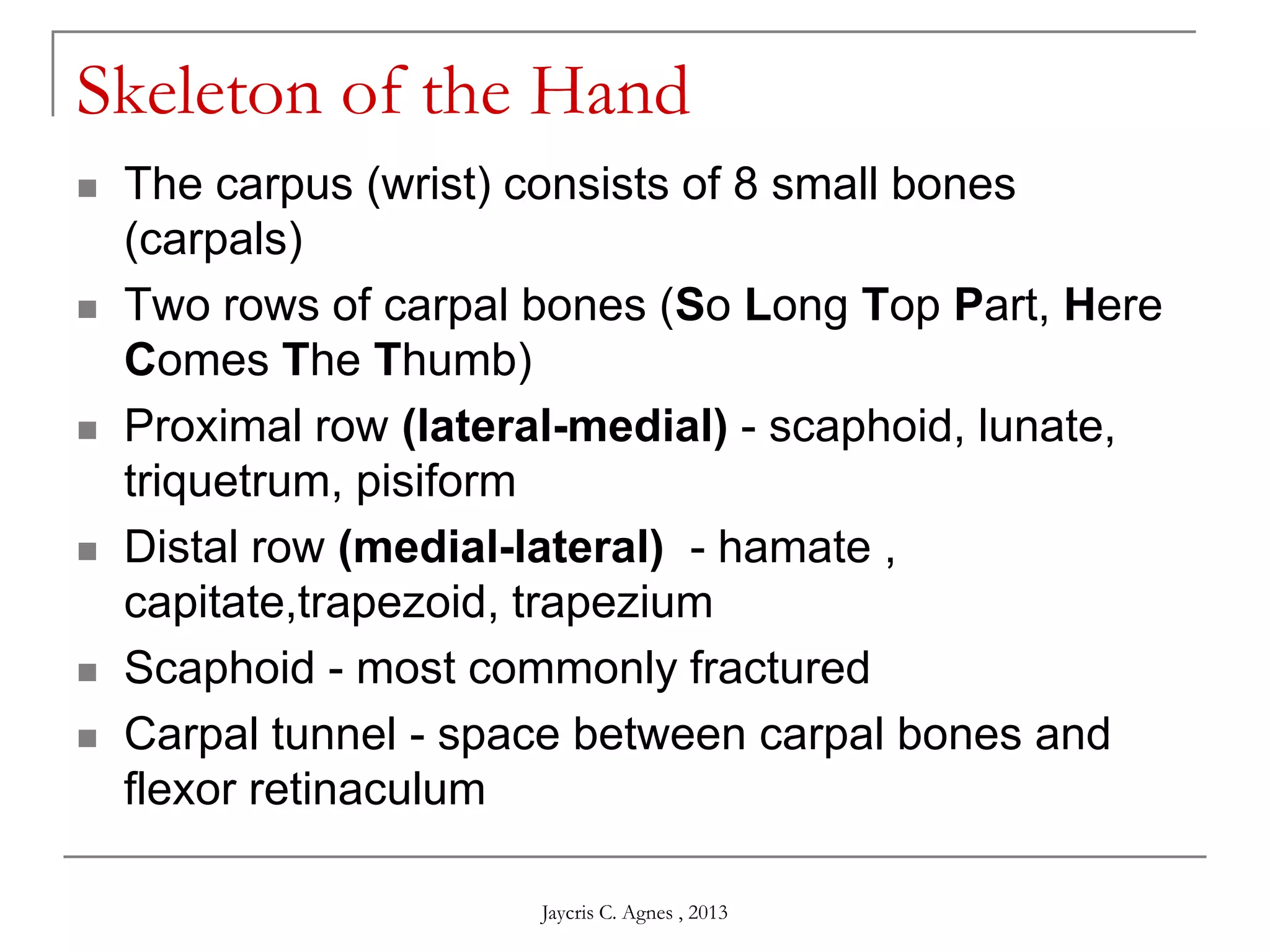Skeleton of the Hand
 The carpus (wrist) consists of 8 small bones
(carpals)
 Two rows of carpal bones (So Long Top Part, Here
Comes The Thumb)
 Proximal row (lateral-medial) - scaphoid, lunate,
triquetrum, pisiform
 Distal row (medial-lateral) - hamate ,
capitate,trapezoid, trapezium
 Scaphoid - most commonly fractured
 Carpal tunnel - space between carpal bones and
flexor retinaculum
Jaycris C. Agnes , 2013
 