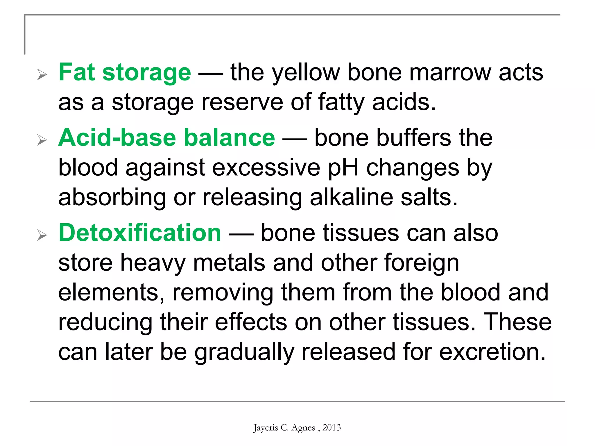  Fat storage — the yellow bone marrow acts
as a storage reserve of fatty acids.
 Acid-base balance — bone buffers the
blood against excessive pH changes by
absorbing or releasing alkaline salts.
 Detoxification — bone tissues can also
store heavy metals and other foreign
elements, removing them from the blood and
reducing their effects on other tissues. These
can later be gradually released for excretion.
Jaycris C. Agnes , 2013
 