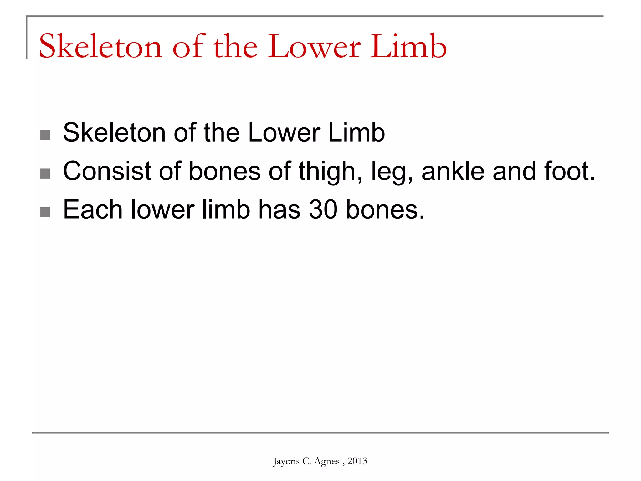 Skeleton of the Lower Limb
 Skeleton of the Lower Limb
 Consist of bones of thigh, leg, ankle and foot.
 Each lower limb has 30 bones.
Jaycris C. Agnes , 2013
 