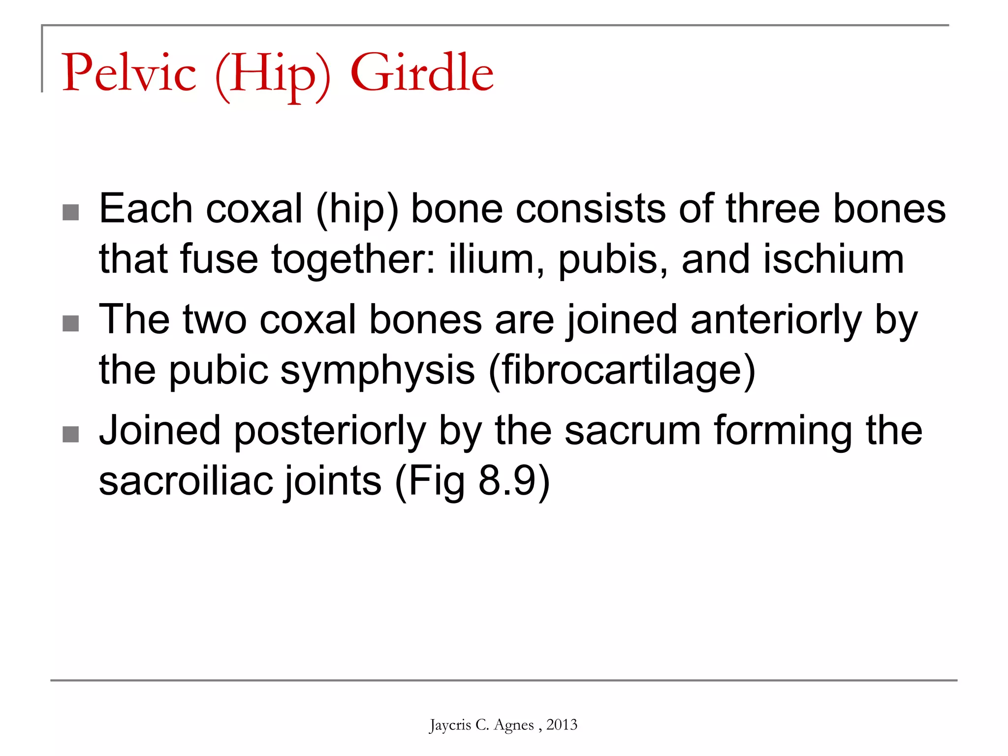 Pelvic (Hip) Girdle
 Each coxal (hip) bone consists of three bones
that fuse together: ilium, pubis, and ischium
 The two coxal bones are joined anteriorly by
the pubic symphysis (fibrocartilage)
 Joined posteriorly by the sacrum forming the
sacroiliac joints (Fig 8.9)
Jaycris C. Agnes , 2013
 