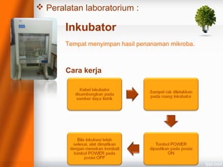  Peralatan laboratorium :
Inkubator
Tempat menyimpan hasil penanaman mikroba.
Cara kerja
 