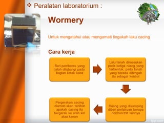  Peralatan laboratorium :
Wormery
Untuk mengatahui atau mengamati tingakah laku cacing
Cara kerja
 