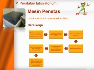  Peralatan laboratorium :
Mesin Penetas
Untuk membantu menetaskan telur
Cara kerja
 