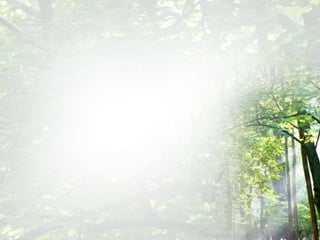 Rubrics (Analytic and Holistic)