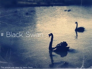 This picture was .aken by Aaron Davis.
# Black Swan
 