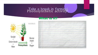Take a break in farming!
Photosynthetic activity!,
What is it?
 