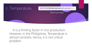 c. Temperature.
It is a limiting factor in rice production.
However, in the Philippines, Temperature is
almost constant, hence, it is not critical
problem.
Thermometer
 