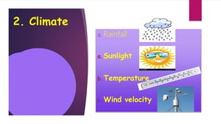 2. Climate
a. Rainfall
a.Sunlight
b.Temperature
c.Wind velocity
 
