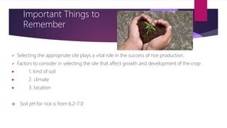 Important Things to
Remember
 Selecting the appropriate site plays a vital role in the success of rice production.
 Factors to consider in selecting the site that affect growth and development of the crop
▶
▶
▶
1. kind of soil
2. climate
3. location
 Soil pH for rice is from 6.2-7.0
 