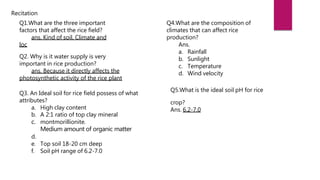 Recitation
Q1.What are the three important
factors that affect the rice field?
ans. Kind of soil, Climate and
loc
Q2. Why is it water supply is very
important in rice production?
ans. Because it directly affects the
photosynthetic activity of the rice plant
Q3. An Ideal soil for rice field possess of what
attributes?
a. High clay content
b. A 2:1 ratio of top clay mineral
c. montmorillionite.
Medium amount of organic matter
d.
e. Top soil 18-20 cm deep
f. Soil pH range of 6.2-7.0
Q4.What are the composition of
climates that can affect rice
production?
Ans.
a. Rainfall
b. Sunlight
c. Temperature
d. Wind velocity
Q5.What is the ideal soil pH for rice
crop?
Ans. 6.2-7.0
 