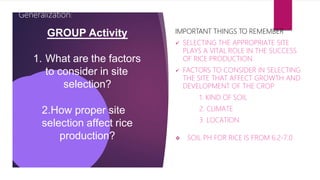 GROUP Activity
1. What are the factors
to consider in site
selection?
2.How proper site
selection affect rice
production?
IMPORTANT THINGS TO REMEMBER
 SELECTING THE APPROPRIATE SITE
PLAYS A VITAL ROLE IN THE SUCCESS
OF RICE PRODUCTION.
 FACTORS TO CONSIDER IN SELECTING
THE SITE THAT AFFECT GROWTH AND
DEVELOPMENT OF THE CROP
1. KIND OF SOIL
2. CLIMATE
3. LOCATION
 SOIL PH FOR RICE IS FROM 6.2-7.0
Generalization:
 