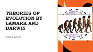 THEORIES OF
EVOLUTION BY
LAMARK AND
DARWIN
BY HIRA NUSRAT
 