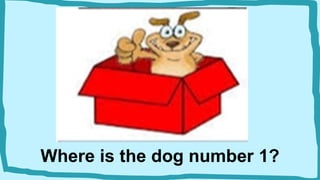 Where is the dog number 1?
 