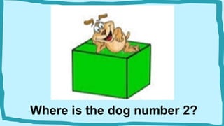 Where is the dog number 2?
 