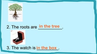 in the tree
2. The roots are __________.
3. The watch is _________.
in the box
 