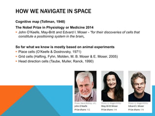 HOW WE NAVIGATE IN SPACE 
Cognitive map (Tollman, 1948) 
The Nobel Prize in Physiology or Medicine 2014 
 John O’Keefe, May-Britt and Edvard I. Moser - "for their discoveries of cells that 
constitute a positioning system in the brain„ 
So far what we know is mostly based on animal experiments 
 Place cells (O’Keefe & Dostrovsky, 1971) 
 Grid cells (Hafting, Fyhn, Molden, M. B. Moser & E. Moser, 2005) 
 Head direction cells (Taube, Muller, Ranck, 1990) 
 