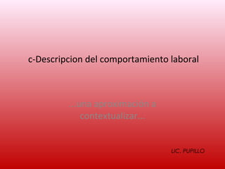 c-Descripcion del comportamiento laboral



         ...una aproximación a
             contextualizar...


                                 LIC. PUPILLO
 