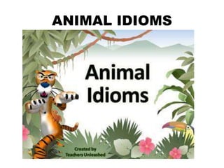 ANIMAL IDIOMS
 