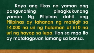 Kaya ang likas na yaman ang
pangunahing pinagkukunang
yaman Ng Pilipinas dahil ang
Pilipinas ay tahanan ng mahigit sa
14,000 na uri ng halaman at 510 na
uri ng hayop sa lupa. Ilan sa mga ito
ay matatagpuan lamang sa bansa.
 