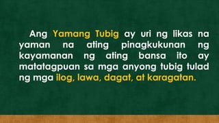 Ang Yamang Tubig ay uri ng likas na
yaman na ating pinagkukunan ng
kayamanan ng ating bansa ito ay
matatagpuan sa mga anyong tubig tulad
ng mga ilog, lawa, dagat, at karagatan.
 