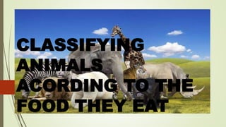 CLASSIFYING
ANIMALS
ACORDING TO THE
FOOD THEY EAT
 
