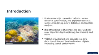 Advanced Underwater Live and Dead Object Detection Using Enhanced ...