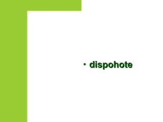 dispohote