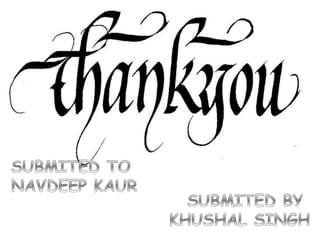 Democracy & Diversity