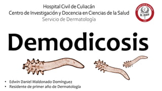 • Edwin Daniel Maldonado Domínguez
• Residente de primer año de Dermatología
HospitalCivil deCuliacán
Centro de Investigación y Docencia enCiencias de la Salud
Servicio de Dermatología
Demodicosis
 