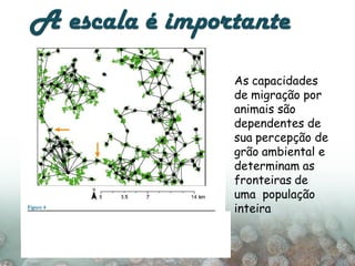 As capacidades
de migração por
animais são
dependentes de
sua percepção de
grão ambiental e
determinam as
fronteiras de
uma população
inteira
 