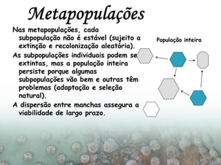 Nas metapopulações, cada
subpopulação não é estável (sujeito a
extinção e recolonização aleatória).
As subpopulações individuais podem ser
extintas, mas a população inteira
persiste porque algumas
subpopulações vão bem e outras têm
problemas (adaptação e seleção
natural).
A dispersão entre manchas assegura a
viabilidade de largo prazo.
População inteira
 