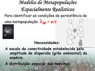 Necessidades:
A escala da conectividade estabelecida pela
amplitude de dispersão (grão ambiental) da
espécie.
A distribuição espacial das manchas
Para identificar as condições de persistência de
uma metapopulação: lM > e/c
 
