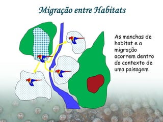 Migração entre Habitats
As manchas de
habitat e a
migração
ocorrem dentro
do contexto de
uma paisagem
 