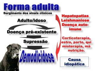 Surgimento dos sinais clínicos
                                 Hepatopatias
        Adulto/idoso             Leishmaniose
                                 Doença auto-
                                     imune
  Doença pré-existente
                                 Corticoterapia,
            Supressão            estro, parto, qui
                                 mioterapia, má
                                    nutrição.

                                    Causa
                                  idiopática
 