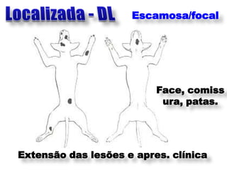 Escamosa/focal




                          Face, comiss
                           ura, patas.




Extensão das lesões e apres. clínica
 