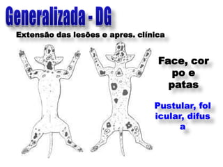 Extensão das lesões e apres. clínica


                                  Face, cor
                                     po e
                                    patas

                                 Pustular, fol
                                 icular, difus
                                       a
 