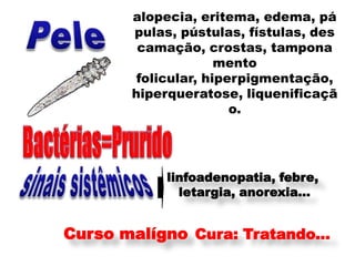 alopecia, eritema, edema, pá
       pulas, pústulas, fístulas, des
        camação, crostas, tampona
                     mento
        folicular, hiperpigmentação,
       hiperqueratose, liquenificaçã
                       o.




            linfoadenopatia, febre,
              letargia, anorexia...


Curso malígno Cura: Tratando...
 