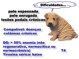 Dificuldades...
    pele espessada
     pele enrugada
lesões podais crônicas

 Compatível: doenças
 cutâneas crônicas

DG: > 50% anemia (não
regenerativa, normocítica ou
normocrômica)                  T4
Tiroxina sérica: baixo
 