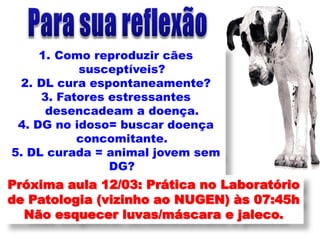 1. Como reproduzir cães
•Por que susceptíveis?
            alguns animais
tem um número
  2. DL cura espontaneamente?
reduzido de ácaros?
     3. Fatores estressantes
      desencadeam a doença.
•Por que alguns buscar doença
 4. DG no idoso= animais
apresentam apenas a forma
           concomitante.
localizada e se curam?
5. DL curada = animal jovem sem
                DG?
 •Por que as lesões podem
Próxima aula 12/03: Prática no Laboratório
 recidivar?
de Patologia (vizinho ao NUGEN) às 07:45h
   Não esquecer luvas/máscara e jaleco.
 
