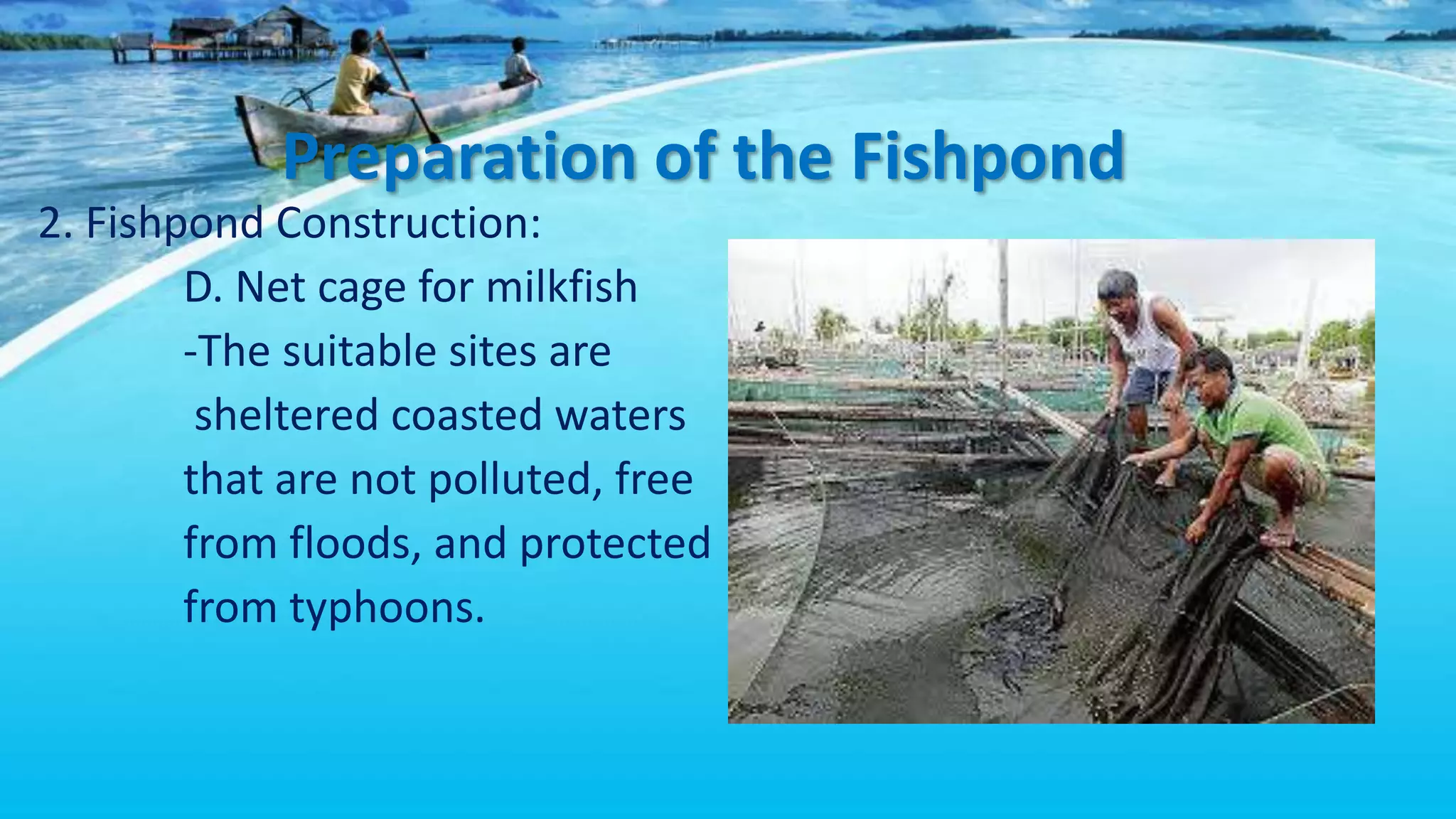 Drawing, Plans, Layout System of Fishery Farm | PPTX