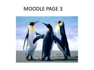 MOODLE PAGE 3
 