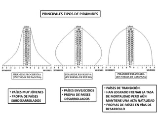 PRINCIPALES TIPOS DE PIRÁMIDES
• PAÍSES MUY JÓVENES
• PROPIA DE PAÍSES
SUBDESARROLADOS
• PAÍSES ENVEJECIDOS
• PROPIA DE PAÍSES
DESARROLLADOS
• PAÍSES DE TRANSICIÓN
• HAN LOGRADO FRENAR LA TASA
DE MORTALIDAD PERO AÚN
MANTIENE UNA ALTA NATALIDAD
• PROPIAS DE PAÍSES EN VÍAS DE
DESARROLLO