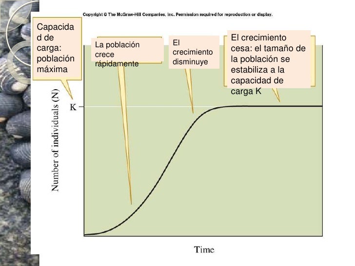 Demografia